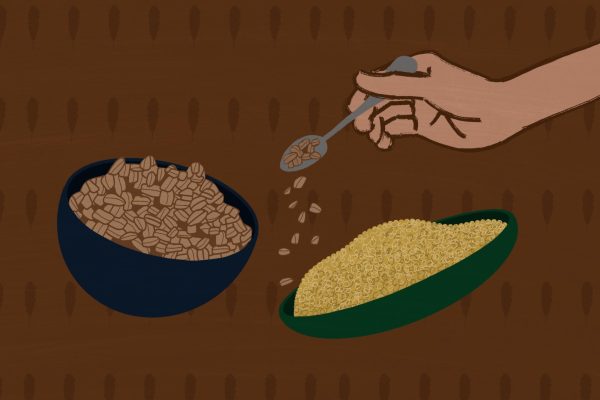 A hand holds a spoon, with two bowls of grains under it.