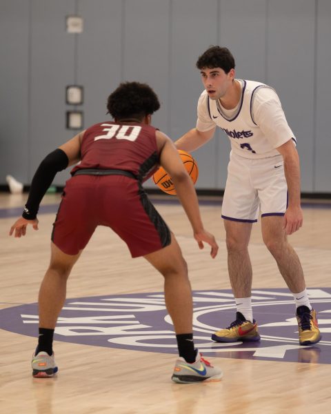 A basketball player in a white-and-purple uniform labeled “violets” stares down a defensive player in a white-and-black uniform numbered “30” as he dribbles the basketball. 