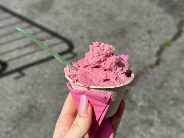 A hand holding a cup of pink gelato with a pink napkin. 