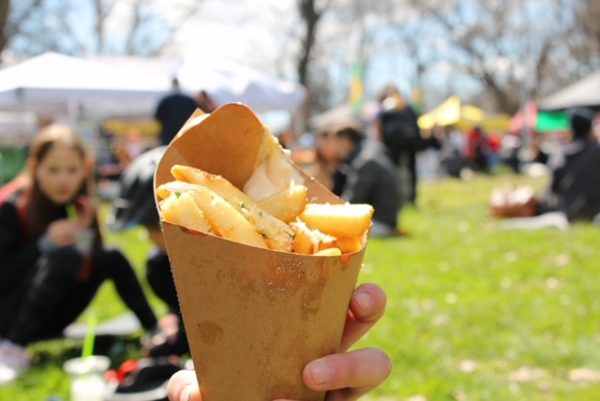 A paper cone of fries with seasoning held in front of a park. 