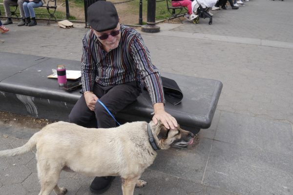 A man in dark pants, dark-colored striped shirt, and black beret sits on a black bench petting a big light beige dog.