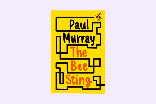 An illustration of a book cover with a black, bold line across it. A bee is in the top right corner, along with the title “The Bee Sting” written between the lines.