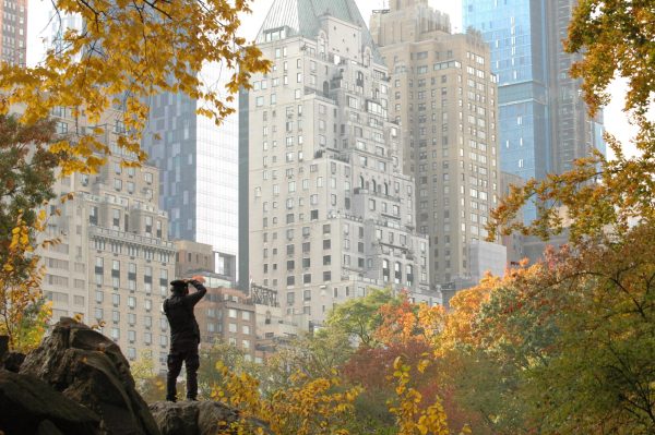Man standing atop a tall rock in Central Park taking a photo of the trees.