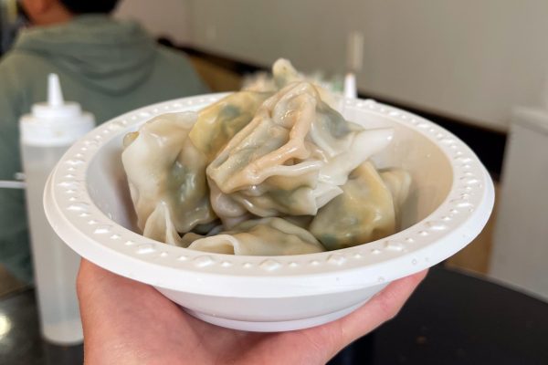 A white bowl with dumplings.