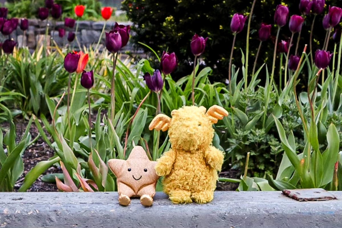Two stuffed animals, one yellow moose and a beige star, sitting on a ledge in front of a garden of purple flowers.