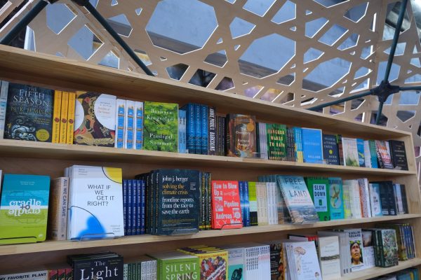 Shelves of colorful books.