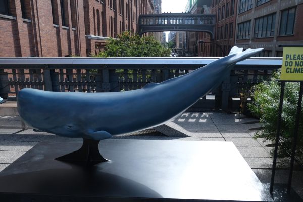 A small model of a blue sperm whale, with a view of the street and a bridge behind it.