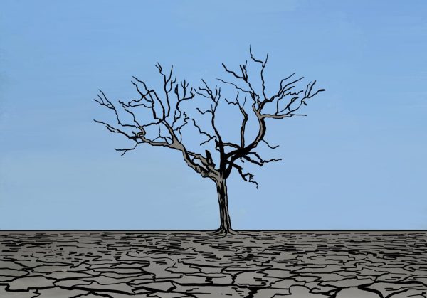 An illustration of a singular tree against a blue background.