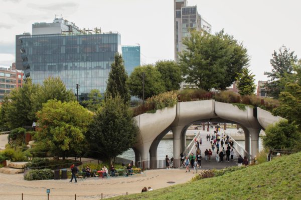 A green park with a white bridge that contains pedestrians on the street below it. In the background is a river with a city skyline.