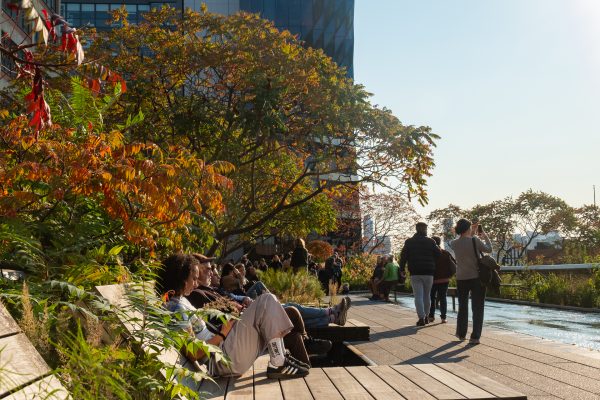 People lounge on long wooden chairs on the High Line, surrounded by fall foliage. In front of them, visitors walk on a paved path in front of a shallow, ground-level fountain.