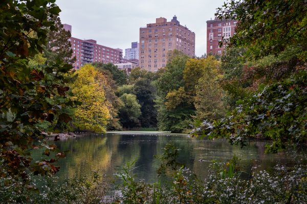 A lake surrounded by trees, changing from green into shades of orange, red and yellow. In the background, high rise buildings are visible.