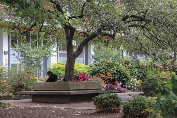 A garden surrounded with flowery green bushes. In the middle is a big tree with a person sitting on the park bench under the canopy.