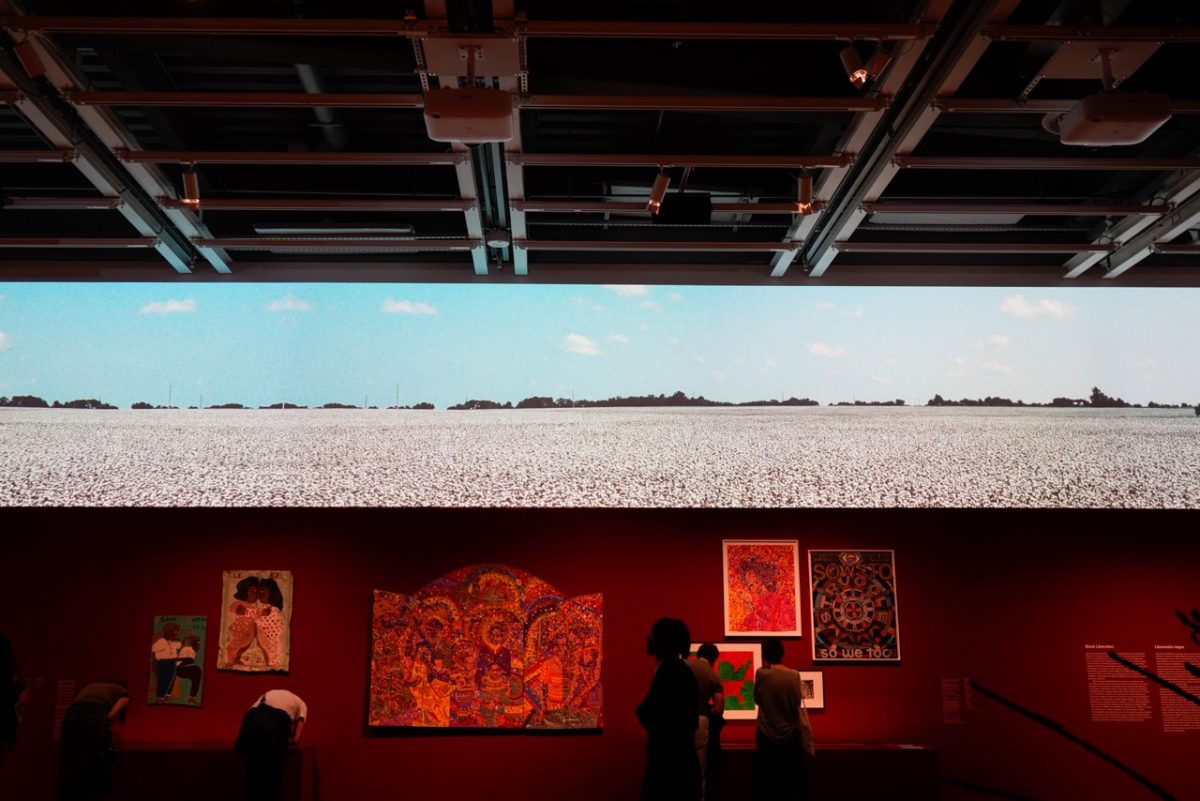 A rectangular screen displays a barren gray rocky field above a wall of artwork.