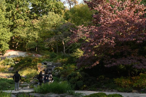 People stand by a mini waterfall and are surrounded by red and green trees and ferns.