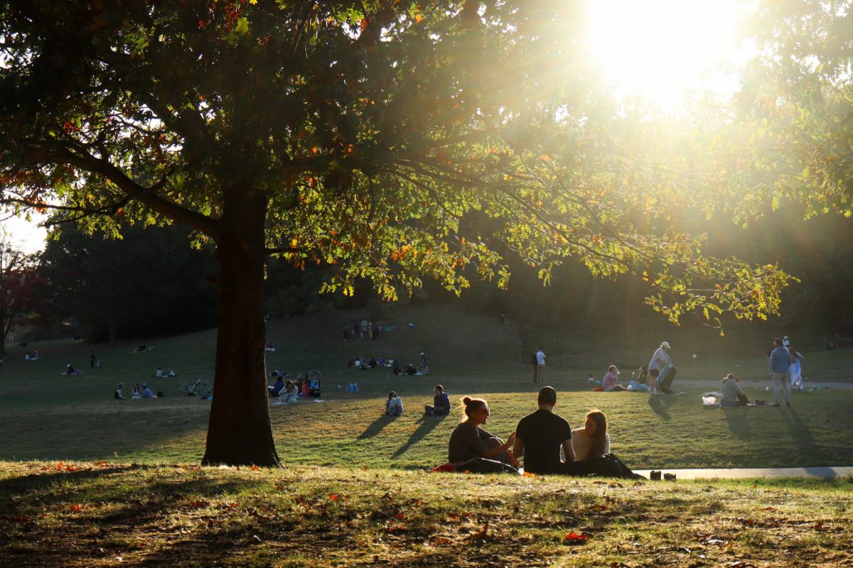 People sit in a park under a tree with green and orange leaves. More groups of people sit scattered behind them.