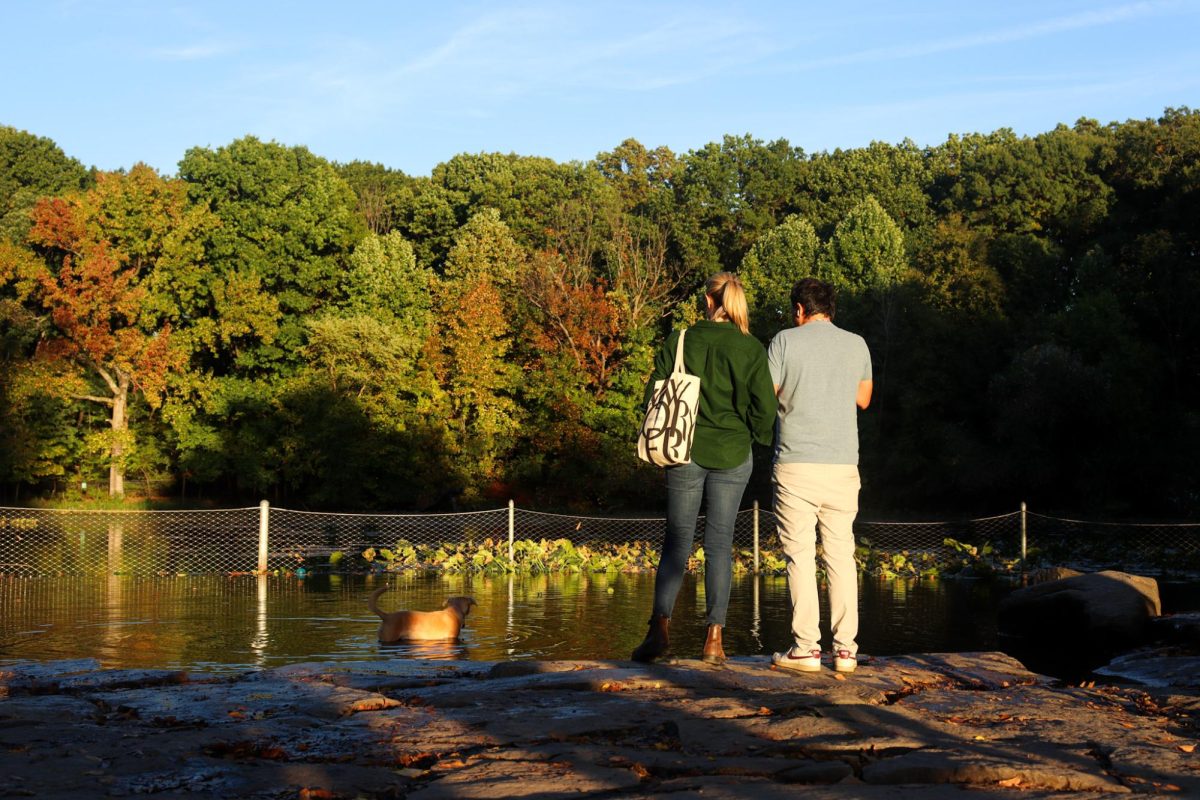 A man and a woman are standing next to a pond, watching a dog walking in the water.