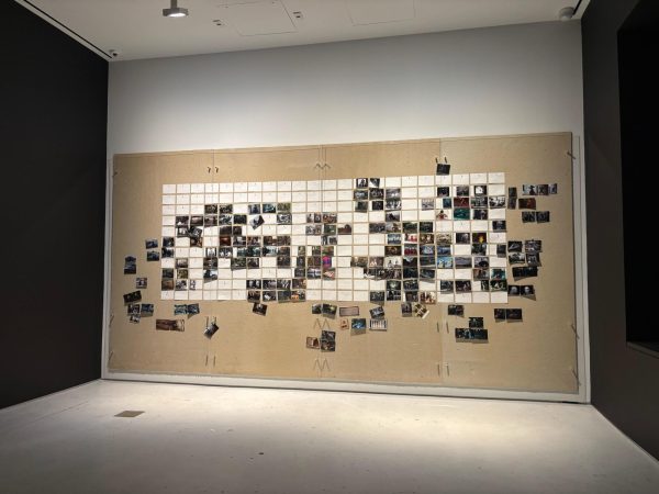 A collection of photographs pinned on beige boards on a white wall.