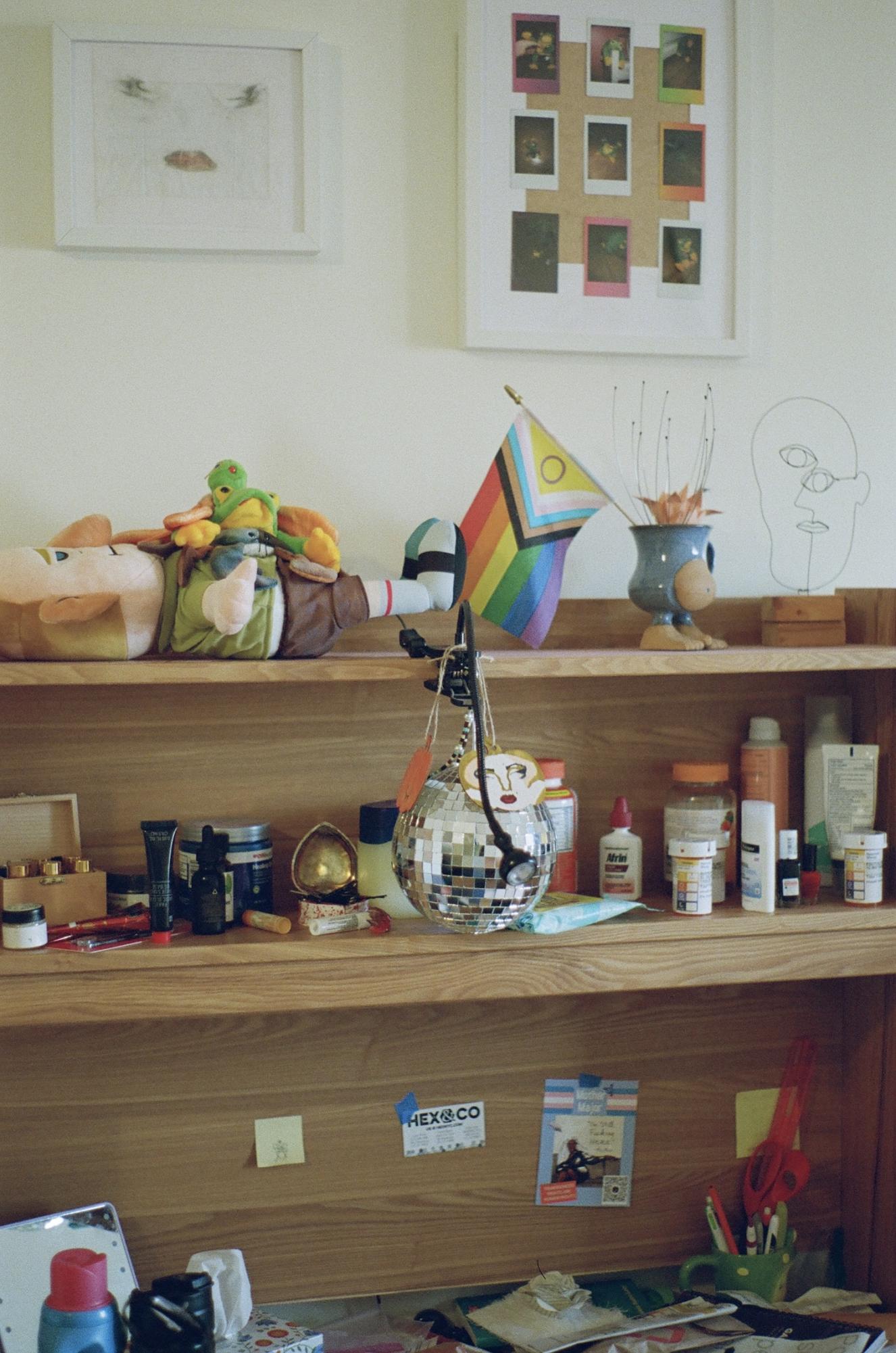 Cluttered shelves against a wall with hanging photographs. Some items on the shelves are a stuffed doll, a pride flag, makeup and a small disco ball.