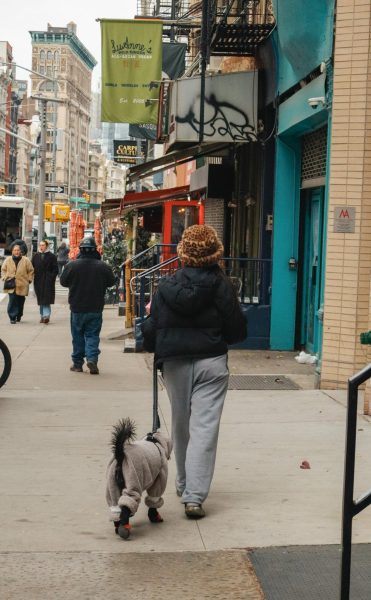 A woman walking a dog on the street. Both are wearing puffy jackets.