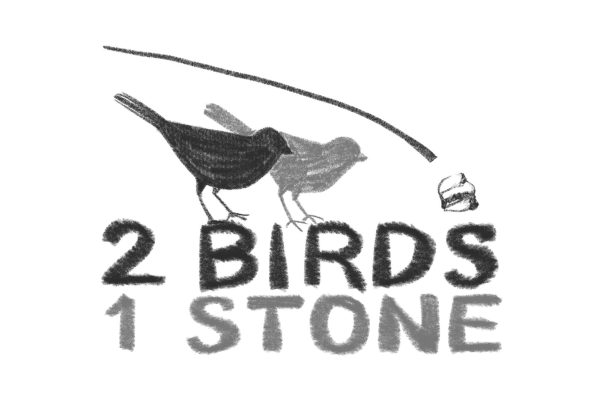 An illustration of a logo with black and grey text reading “2 Birds 1 Stone” with two birds standing on top of the text.