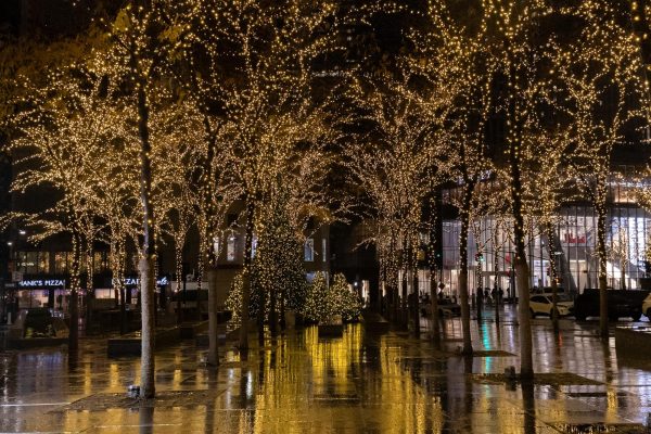 A park with trees with bright Christmas lights.