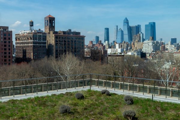 A view from a rooftop of the city’s skyline.