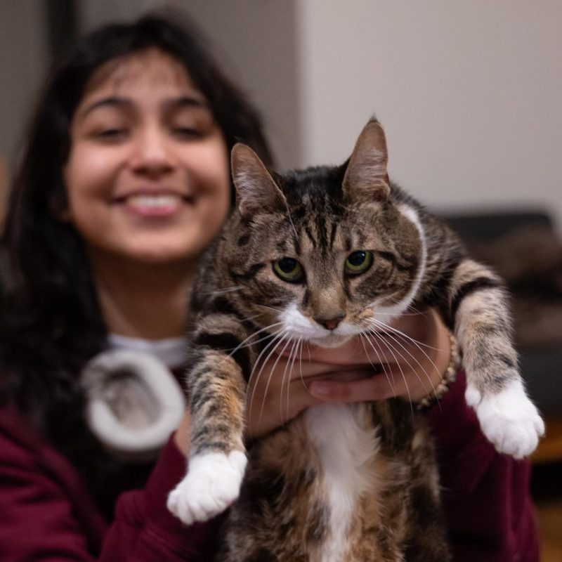 Kiran Arain shows off her emotional support cat Moth. (Kiran Komanduri for WSN)