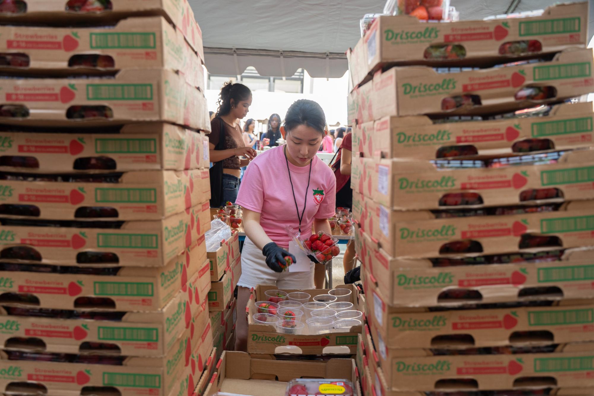 Strawberry Fest returns to NYU with thousands in attendance