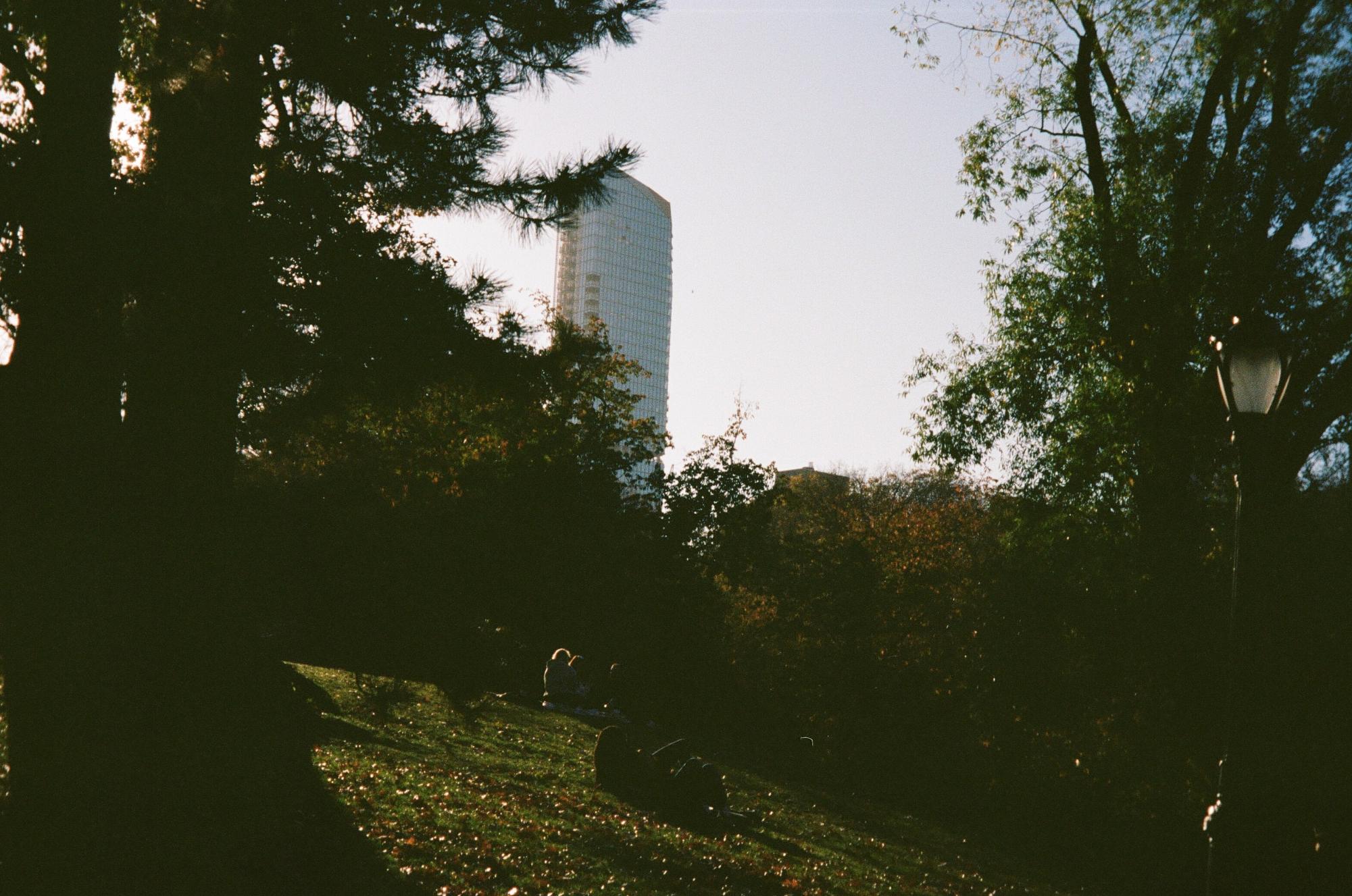 (Rachel Ning for WSN)