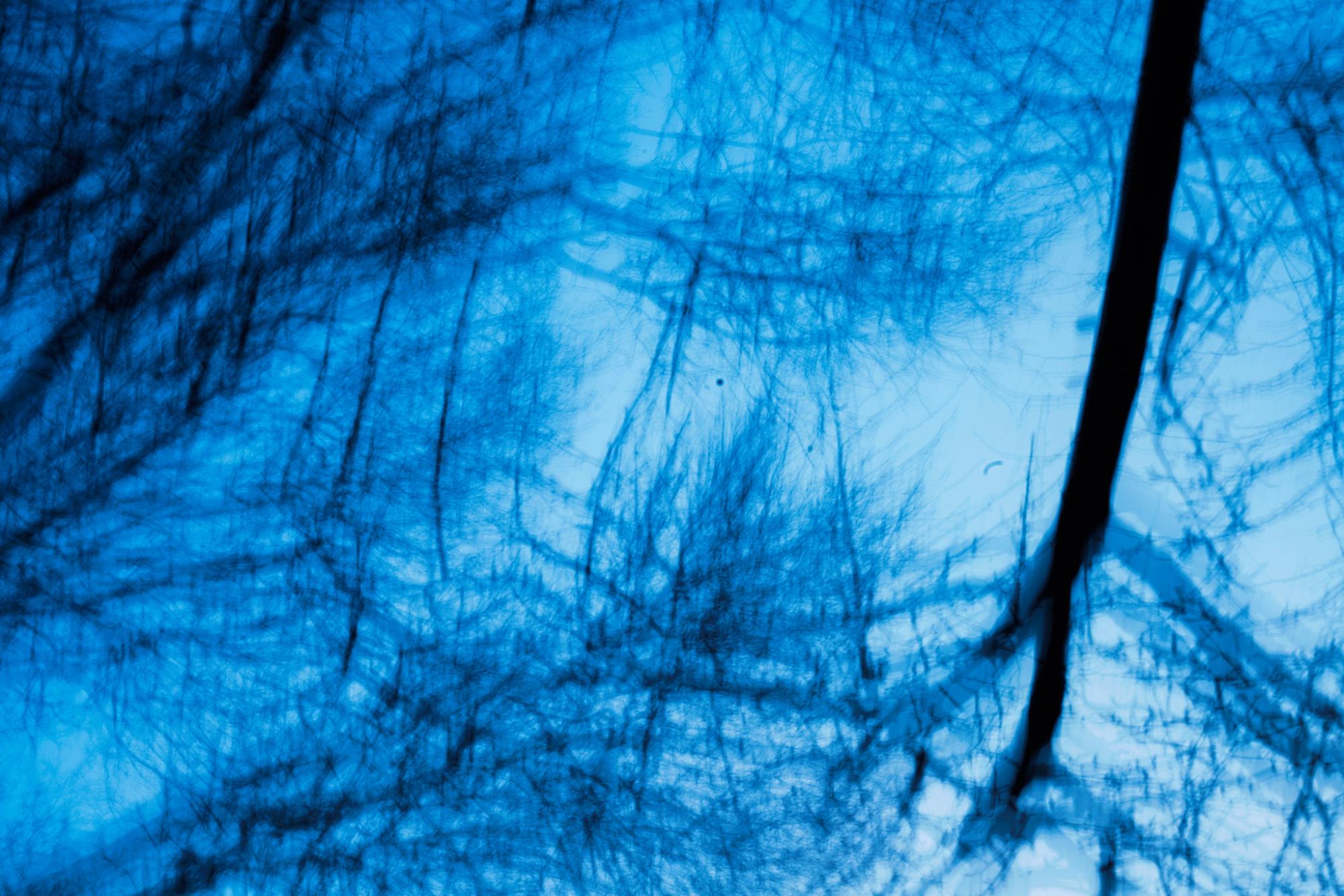 abstract 2 (1)