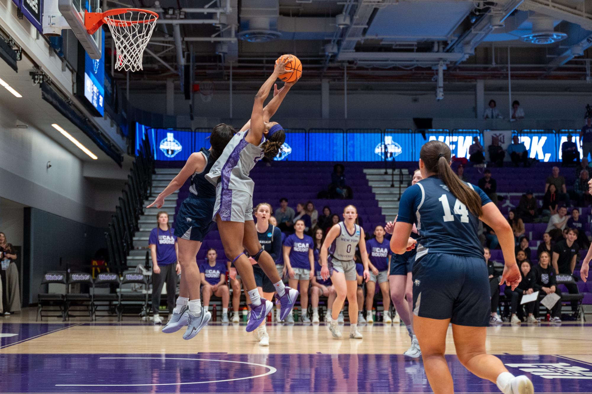 Home victories and a heartbreaking loss for NYU in March Madness