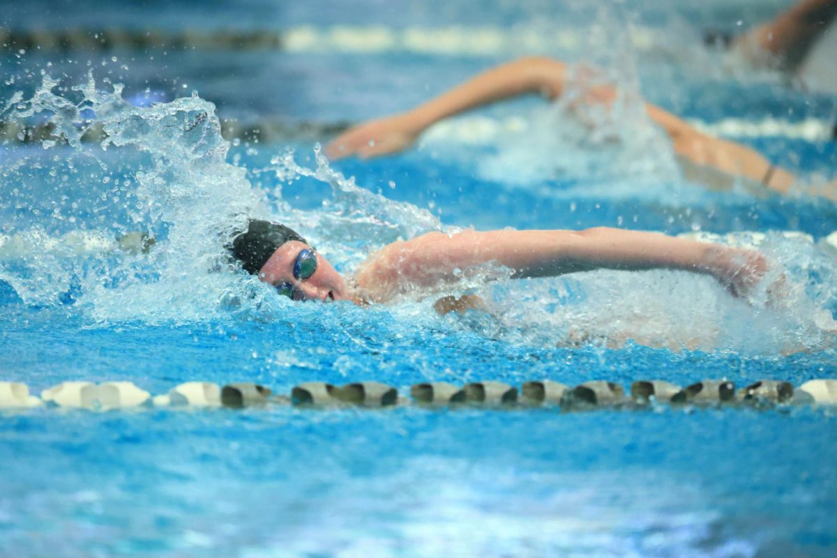 Senior swimmer Kaley McIntyre. (Courtesy of NYU Athletics)
