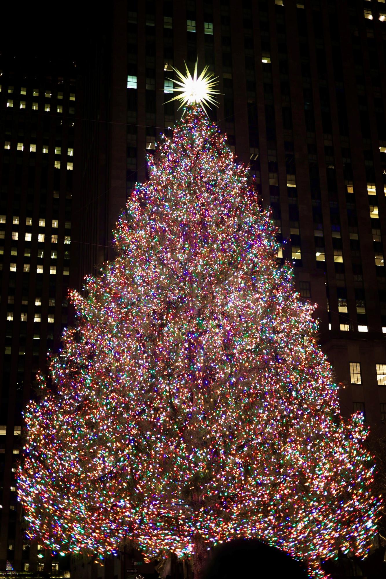 IMG_8567_Original (1)